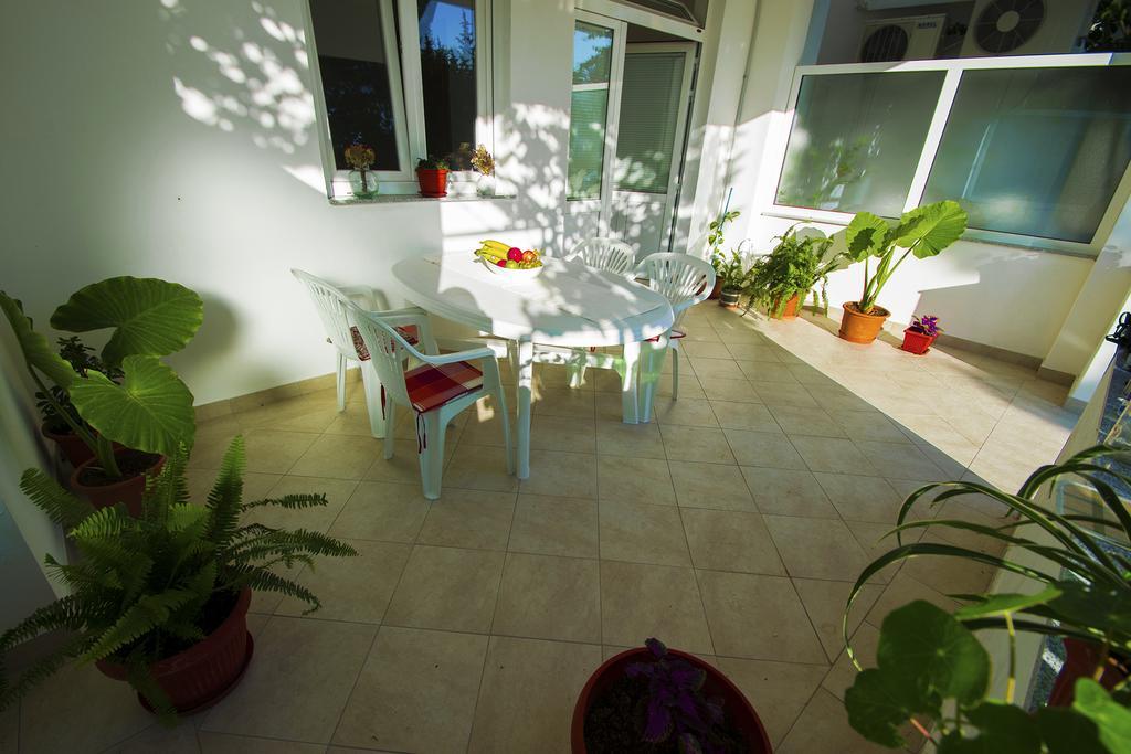 Apartmani i sobe Grga Starigrad Paklenica Exteriör bild