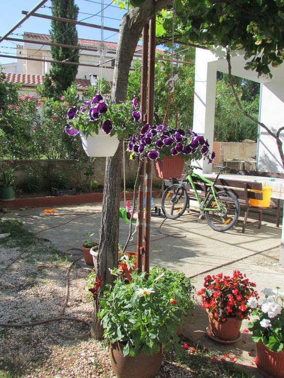 Apartmani i sobe Grga Starigrad Paklenica Exteriör bild